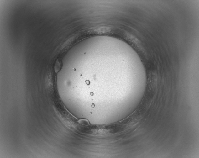 X0000072930212200608041224