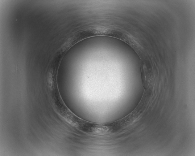 X0000072930215200608041224