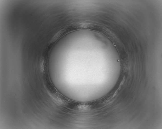 X0000072930216200608041224