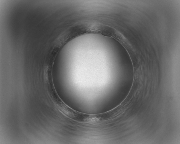 X0000072930217200608041224