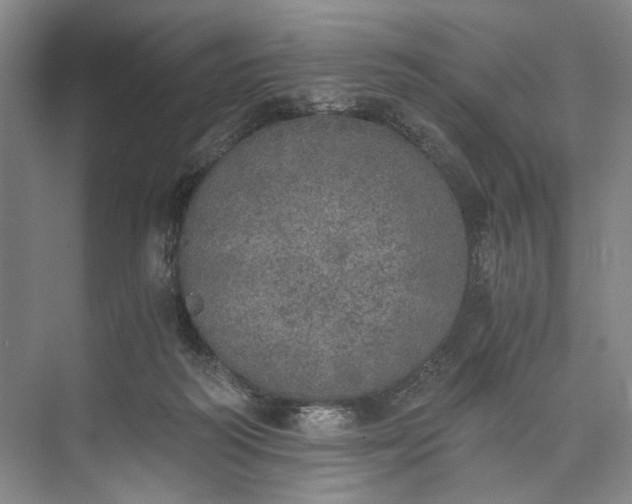 X0000072930218200608041224