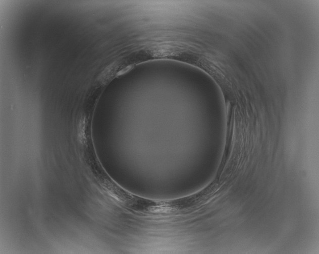 X0000072930219200608041224