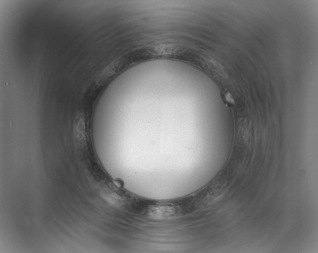 X0000072930220200608041224