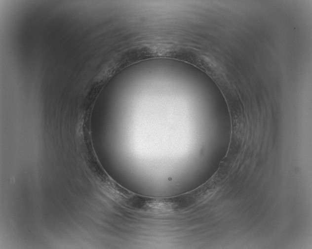 X0000072930221200608041224