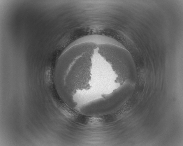 X0000072930222200608041224