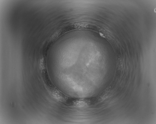 X0000072930224200608041224