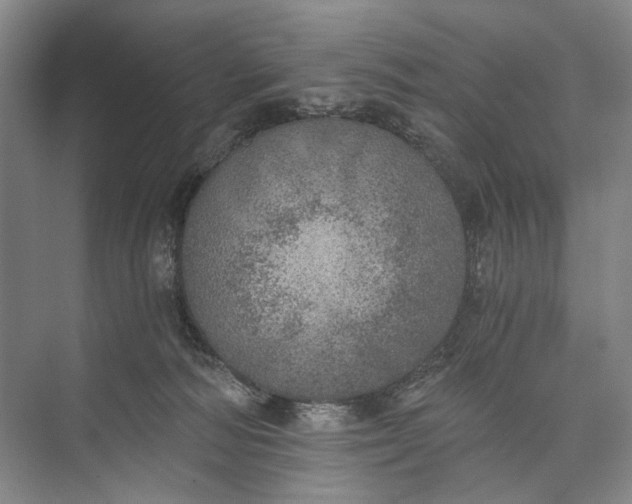 X0000072930226200608041224