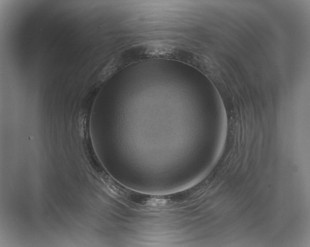 X0000072930227200608041224