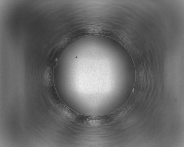 X0000072930228200608041224