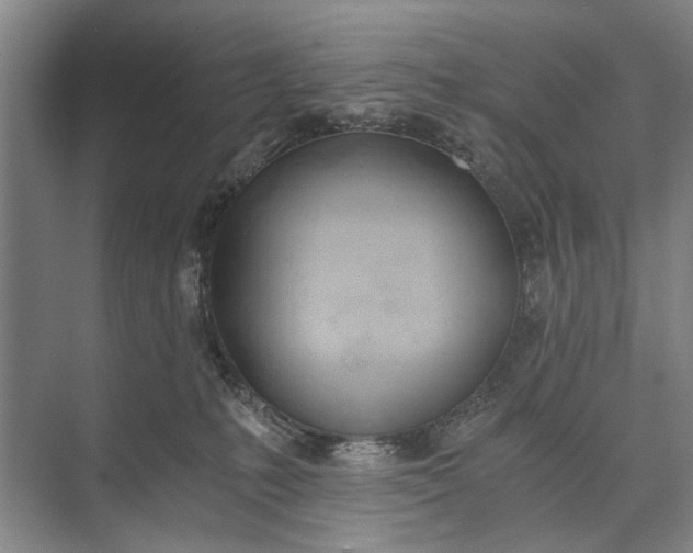 X0000072930231200608041224