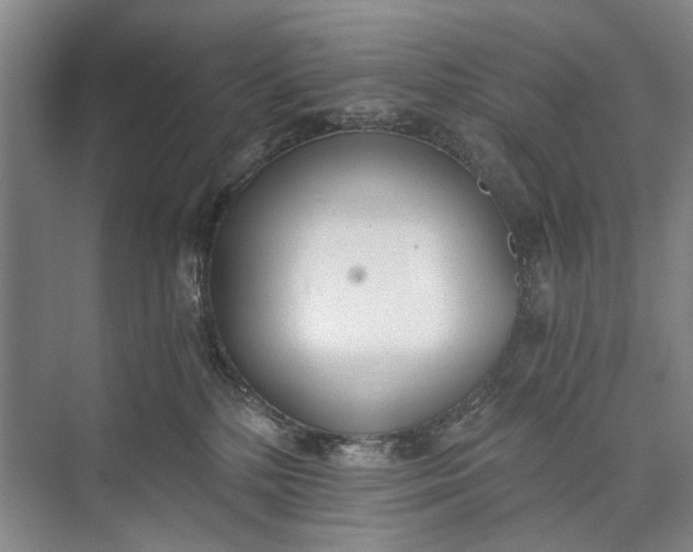 X0000072930232200608041224