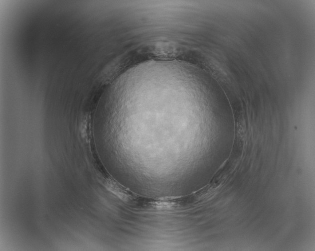 X0000072930233200608041224