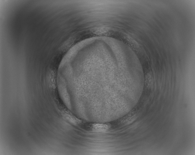 X0000072930234200608041224