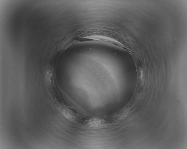 X0000072930235200608041224