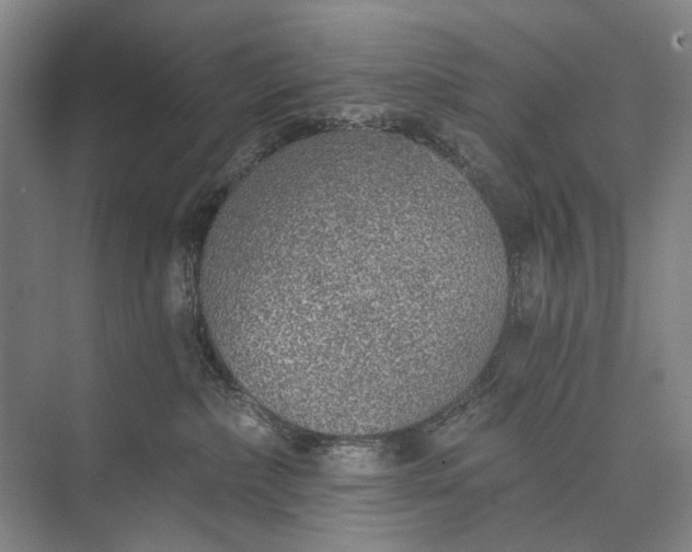 X0000072930236200608041224