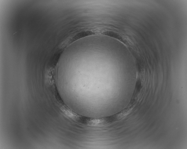 X0000072930237200608041224