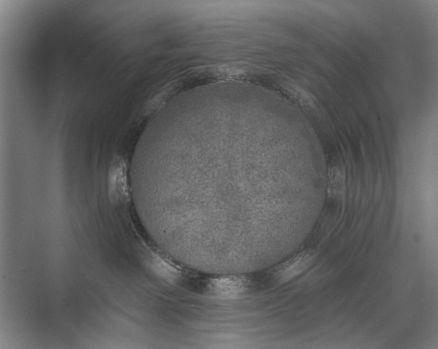 X0000072930238200608041224