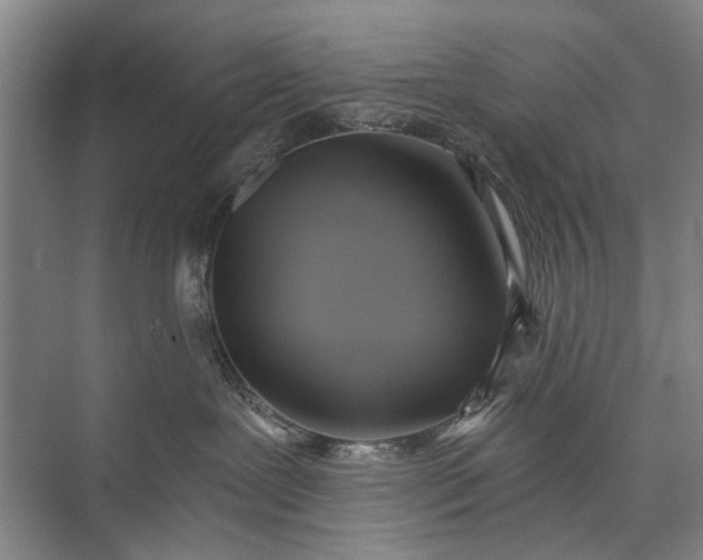 X0000072930239200608041224