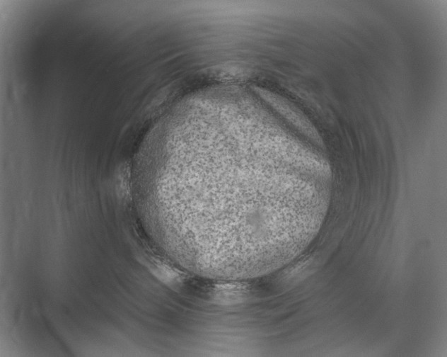 X0000072930240200608041224