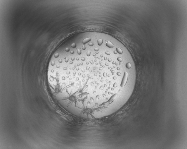 X0000072930241200608041223