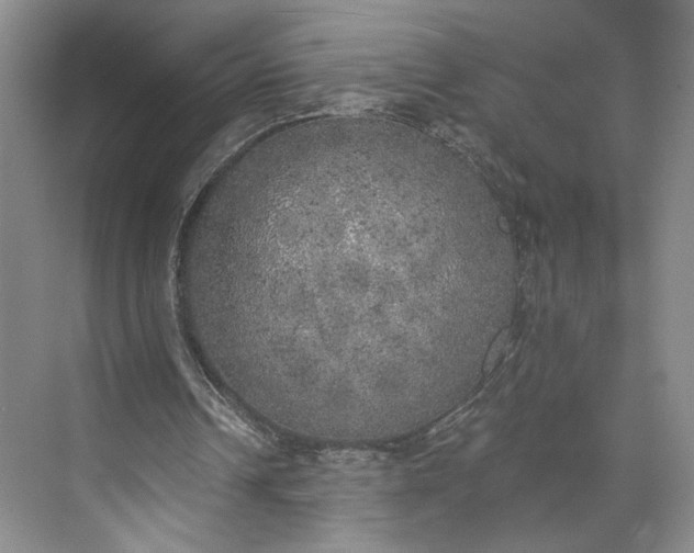 X0000072930242200608041223