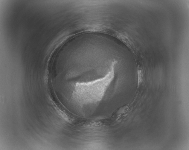 X0000072930243200608041223