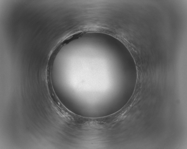 X0000072930244200608041223