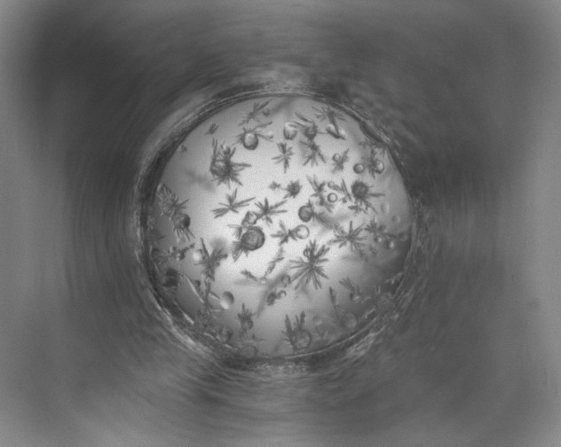 X0000072930245200608041223