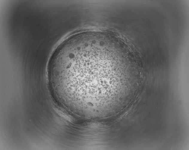 X0000072930246200608041223