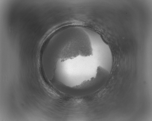 X0000072930247200608041223