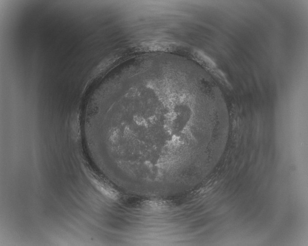 X0000072930250200608041223