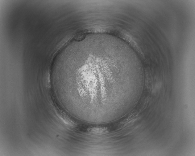 X0000072930251200608041223