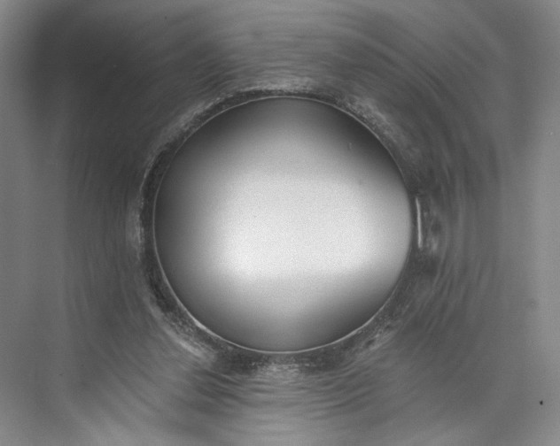 X0000072930252200608041223