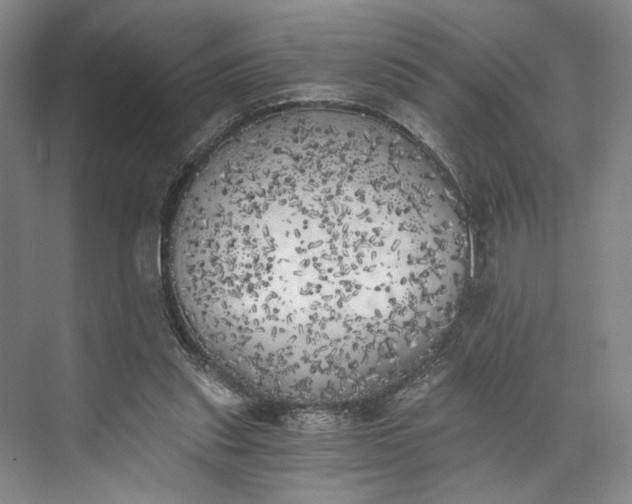 X0000072930253200608041223