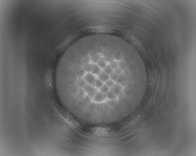 X0000072930255200608041223