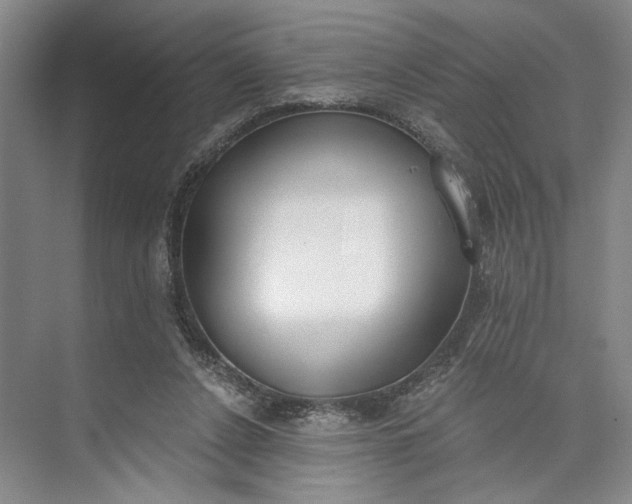 X0000072930256200608041223