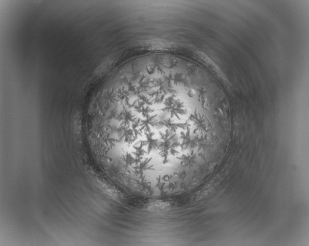 X0000072930257200608041223