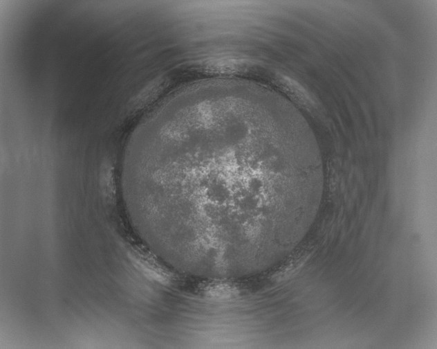 X0000072930258200608041223