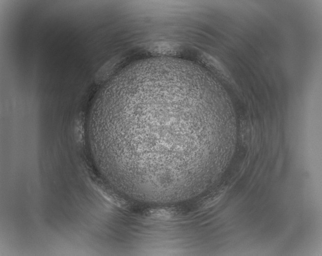 X0000072930259200608041223