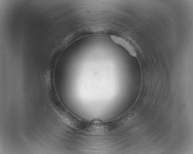 X0000072930260200608041223