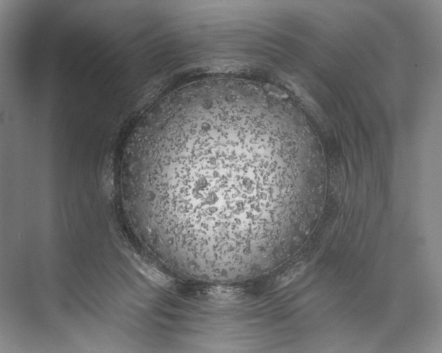 X0000072930261200608041223