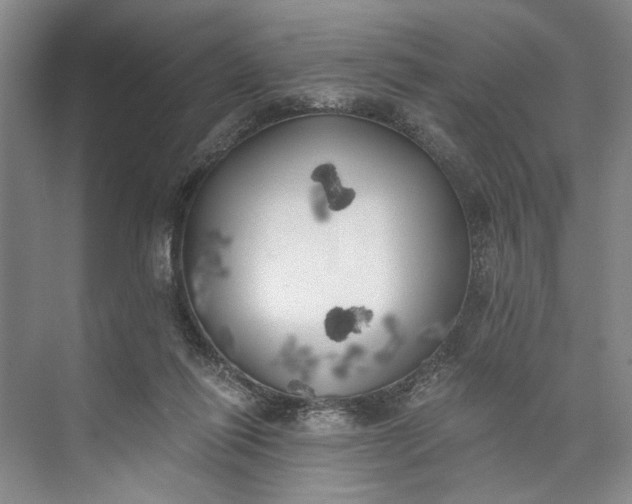 X0000072930262200608041223