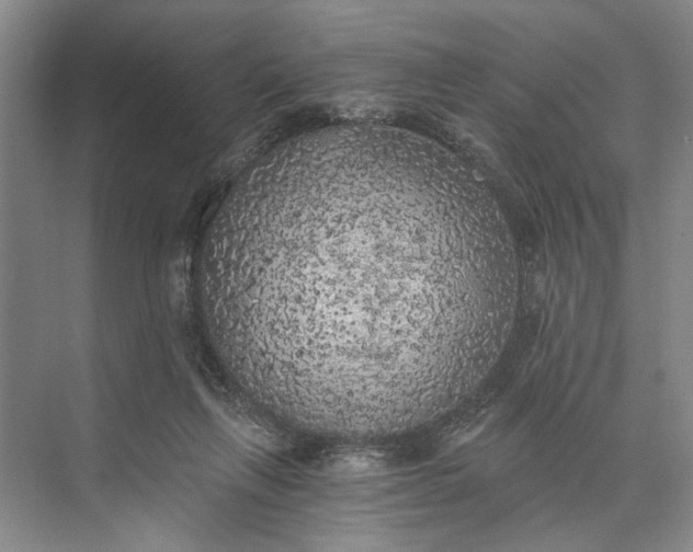 X0000072930263200608041223