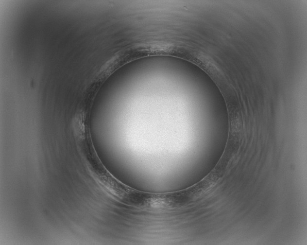 X0000072930264200608041224