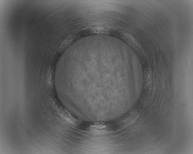 X0000072930266200608041224