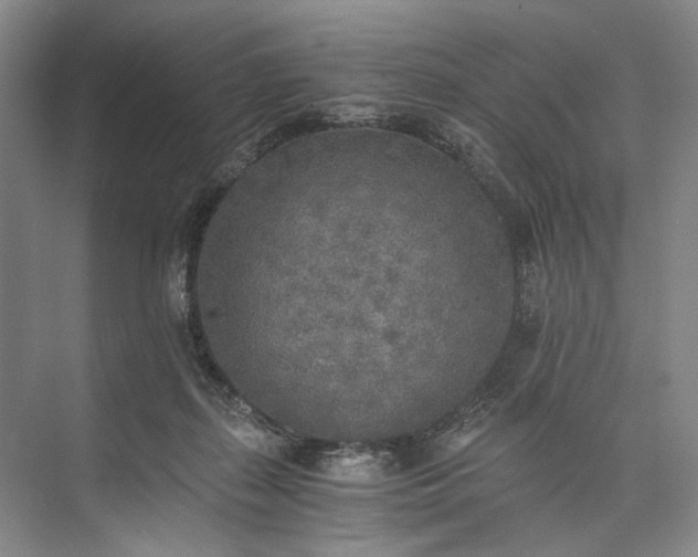 X0000072930267200608041224