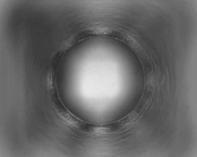 X0000072930268200608041224