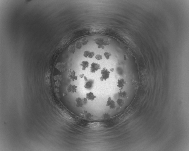 X0000072930269200608041224