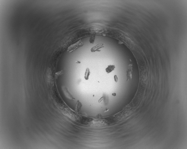 X0000072930270200608041224