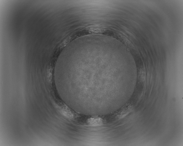 X0000072930271200608041224